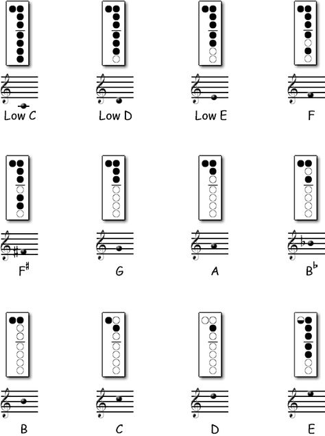 Flute Fingering Chart, Recorder Fingering Chart, Recorder Lessons, Recorder Notes, Learning Music Notes, Native American Flute Music, Flute Lessons, Recorder Sheet Music, Recorder Songs