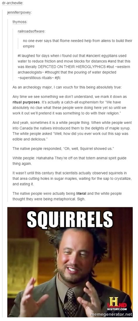 History Nerd, History Humor, Interesting History, Random Facts, The More You Know, History Facts, Squirrels, Text Posts, Tumblr Funny