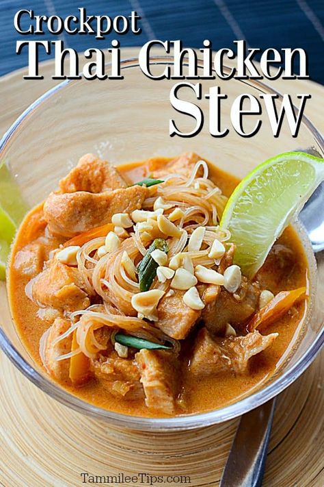 Crock Pot Thai Chicken Stew Recipe! Let the slow cooker do all the work and you get this great soup recipe with tons of flavor! Makes great leftovers! Crock Pot Thai, Taco Dinner Recipes, Creamy Tomato Soup Recipe, Slow Cooker Thai Chicken, Chicken Stew Recipe, Barbecue Chicken Recipe, Hearty Soup Recipes, Stew Chicken Recipe, Stove Top Recipes