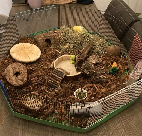 Hamster Enclosure Ideas, Hamster Playpen, Aesthetic Hamster, Kandang Hamster, Hamster Tank, Hamster Bin Cage, Hamster Enclosure, Hamster Diy Cage, Gerbil Cages