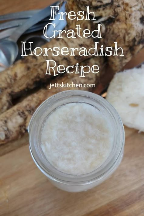 Homemade Prepared Horseradish How To Prepare Horseradish Root, Horse Radish Sauce Recipe, How To Make Horseradish, Homemade Horseradish, Horseradish Recipes, Homemade Ingredients, Fresh Horseradish, Prepared Horseradish, Horseradish Sauce