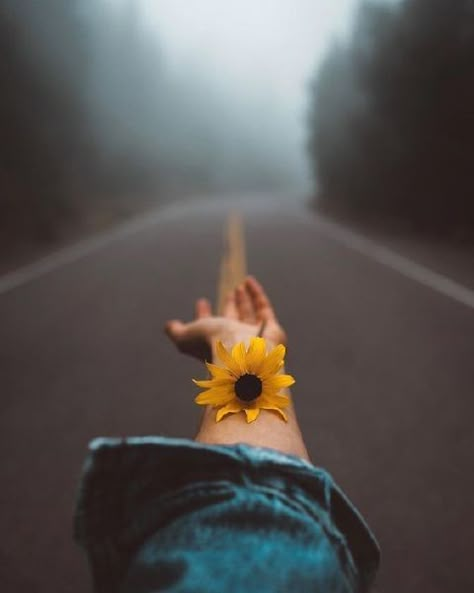 Hipster Photography, Sunflower Photography, Sunflower Pictures, Pose Fotografi, Inspiring Photography, Sunflower Wallpaper, Foto Tips, Portrait Photography Poses, Tumblr Photography