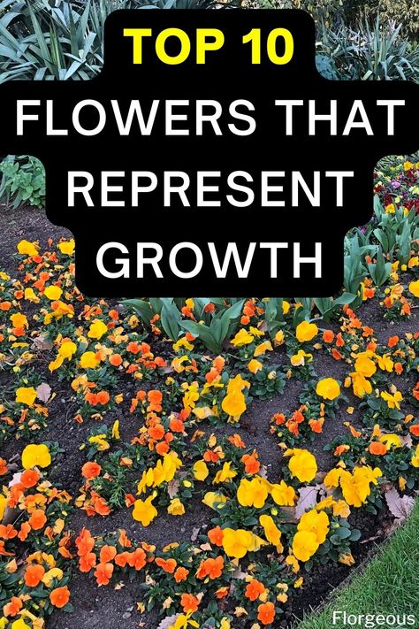 flowers Symbols For Growth And Change, Flowers That Represent Growth, Growth Flower Tattoo, Tattoos That Symbolize Growth, Tattoo That Represents Growth, Symbols Of Growth, Growth Symbol, 10 Flowers, Most Popular Flowers