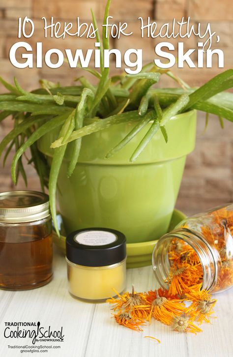 Herbs For Healthy Skin, Herbs For Skin Health, Herbal Oils, Skin Care Routine For 20s, Crochet Bows, Homemade Beauty, Healthy Glowing Skin, Acne Remedies, Skin Remedies