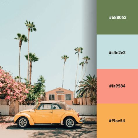 14 Best 70s Color Palettes with HEX Codes Included Color Palettes With Hex Codes, Logo Color Combinations, Vintage Colour Palette, Retro Color Palette, Hex Color Palette, Color Schemes Colour Palettes, Hex Codes, Hex Color Codes, Brand Color Palette