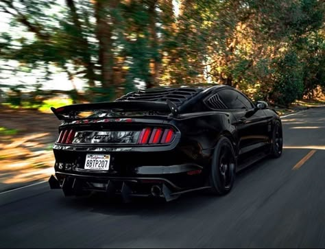 2016 Mustang, Black Mustang, Mustang Wallpaper, Mustang Car, Slammed Cars, 2017 Ford Mustang, Mustang Gt500, Ford Mustang Car, Lamborghini Urus