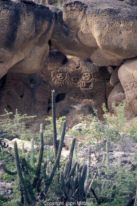 Dominican Republic Tattoo, Taino Art, John Mitchell, Indian Tattoos, Taino Indians, Puerto Rico Pictures, Ancient History Archaeology, Sweet Image, Puerto Rico History