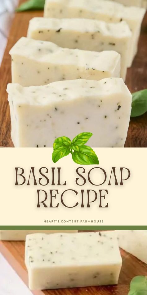 Basil Essential Oil Recipes, How To Make Basil Essential Oil, Dried Basil Recipes, Basil Soap Diy, Basil Medicinal Uses, Basil Oil Recipe, Things To Make With Basil, Basil Uses, Basil Soap