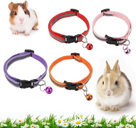 Amazon.com : 4 Pack Rabbit Adjustable Collars with Bell, Guinea Pig Dragon Luminous Collar, Small Animal Exercise and Interaction Accessories : Pet Supplies Rabbit Accessories, Guinea Pig, Guinea Pigs, Small Pets, Animal Rescue, Funny Animals, Pet Supplies, Pet, Collar