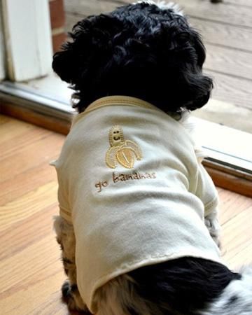 Turn a onesie into a shirt for your little dog with this fun, quick and easy DIY! Diy Dog Clothes, Yoshi Costume, Dog Clothes Diy, Dog Clothes Patterns, Dogs Tee, Old Shirts, Life Ideas, Puppy Clothes, Diy Dog