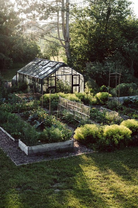 Beyond the Meadows: An Inspiring New Book by the Homesteaders Behind Krautkopf Woodland Vegetable Garden, Vegetable Garden In The Woods, Vegetable Garden Greenhouse, Backyard Food Garden, Gardening With Pots, Dream Vegetable Garden, Mountain Homestead, Homestead Interior, Vegetable Garden Layout Design