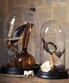 Curiosity Shop Set of 2 Glass Domes with Bases.  Scary thing is that I actually have skulls already. Cloche Decor, Curio Display, Glass Bell Jar, Glass Cloche, The Bell Jar, Wallpaper Bedroom, Apothecary Jars, Glass Domes, My New Room