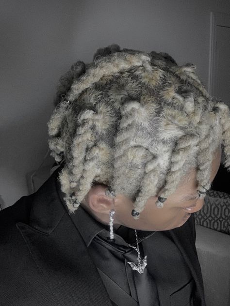 Grey Dreads Men, Silver Dreads, Grey Dreads, Grey Locs, Colored Dreads, White Dreads, Dreads Care, Dreadlocks Men, Blonde Dreadlocks