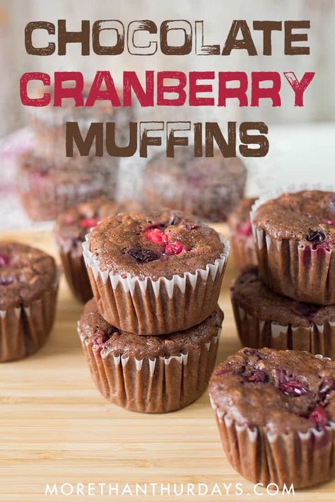 Chocolate Cranberry Muffins: These chocolate muffins are delicious with the addition of the zing of cranberries, baked right in! They're a delicious treat for the holiday season. #cranberry #chocolate Cranberry Dip Recipes, Cranberry Chocolate, Baked Food, Chocolate Cranberry, Muffins Recipes, Cranberry Muffins, Retirement Ideas, Simple Muffin Recipe, Snack Bites