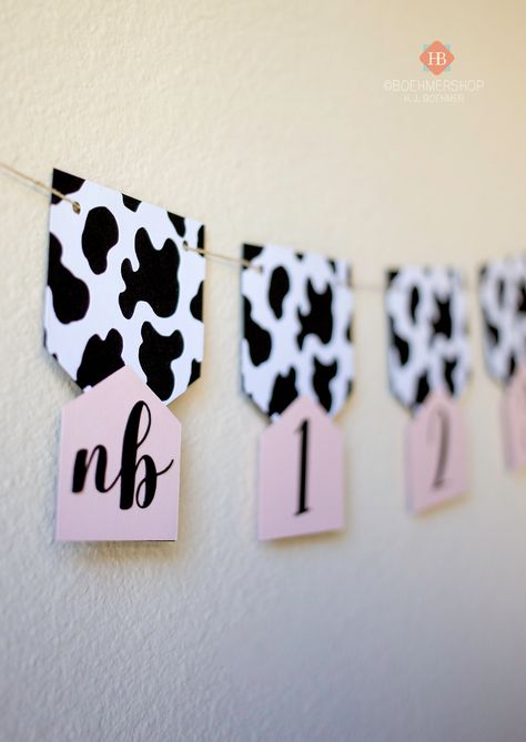 Cow First Birthday Theme, Pink Farm First Birthday, Cowgirl Themed 1st Birthday Party, First Cowgirl Birthday Party, Cow Themed 1st Birthday Girl, Cow Theme 1st Birthday Party Girl, Cow Decorations Party, Cow Print First Birthday Girl, Holy Cow I’m One Decorations