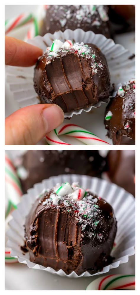 Rich and Creamy Peppermint Chocolate Truffles are made with just 5 simple ingredients! So easy and perfect for homemade holiday gifts! #peppermint #truffles #chocolate #candy #Christmas Peppermint Christmas Treats, Chocolate Treats For Christmas, Peppermint Truffles Recipe, Easy Christmas Truffles No Bake, Homemade Chocolate Truffles Easy, Peppermint Chocolate Truffles, Christmas Treats Peppermint, White Chocolate Peppermint Truffles, Simple Christmas Treats