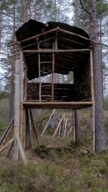 Survival • Bushcraft • Camping on Instagram: "Building A Complete Tree House 🏚🏕 .Follow - @survivalsettup . Daily Best Survival , Camping Posts 📽👍 #camping #campingshelter #shelter #survivallife" Survival Tree House, Survival Bushcraft, Bushcraft Shelter, Camping Shelters, Bushcraft Camping, Survival Camping, Survival Life, Bushcraft, Tree House