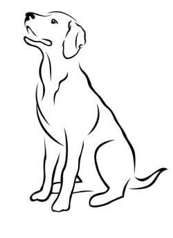 Labrador Retriever Drawing Simple, Pictures Of Dogs To Draw, Lab Outline Drawing, Dog Outline Drawing Simple, Simple Dog Drawings, Lab Dog Drawing, Labrador Drawing Simple, Easy Dog Drawing Simple, Happy Dog Drawing