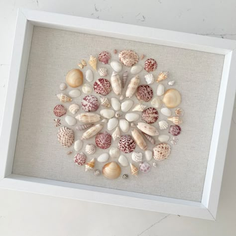 Sanibel Island Shells, Seashell Shadow Boxes, Seashell Art Diy, Cuadros Diy, Sea Shells Diy, Shell Display, Art Coquillage, Seashell Wall Art, Seashell Projects