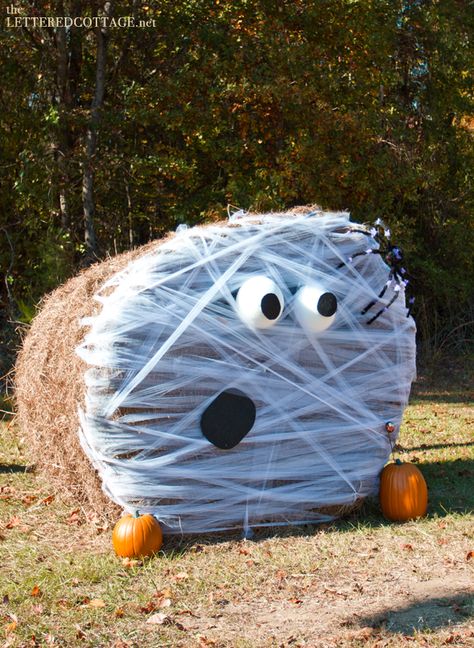 Painted Hay Bale Ideas Round Hay Bales Fall Decor, Decorating Hay Bales For Fall, Spider Hay Bale, Round Bales Of Hay Decor, Halloween Round Hay Bale Ideas, Round Hay Bale Decorating Ideas Fall, Round Bale Decorating Ideas, Halloween Hay Bale Ideas, Painted Hay Bale Ideas