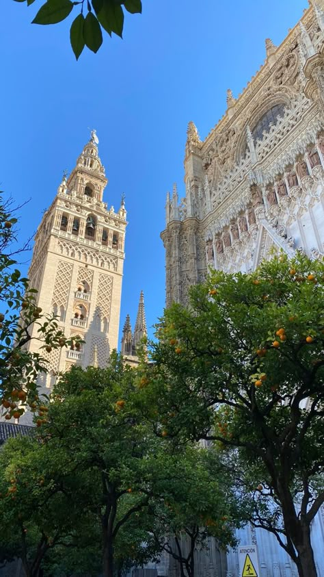 Sevilla Spain Aesthetic, Seville Aesthetic, Sevilla Aesthetic, Spain Aesthetic, Sevilla Spain, Couples Vacation, Dream Vacations Destinations, Map Wallpaper, Places In Europe