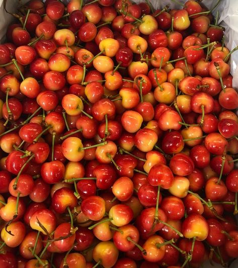 Rainier Cherries Rainier Cherries, Cherry Girl, Yummy Comfort Food, Favorite Flowers, Red Peppercorn, Pretty Things, Comfort Food, Breakfast Recipes, Cherry