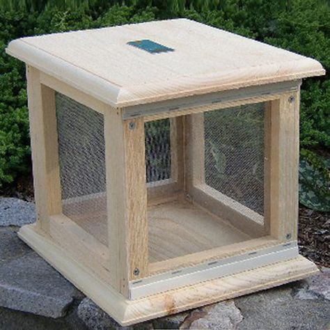 Coveside Conservation Freestanding Wood Butterfly House Butterfly Food, Butterfly Feeders, Magical Transformation, Butterfly Houses, Eastern White Pine, Wood Butterfly, Garden Coffee Table, Butterfly House, Bird Boxes