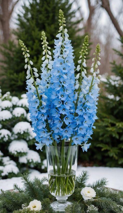 I love creating a cool winter vibe with an icy blue delphinium arrangement. These tall, striking flowers add a frosty touch to any room. Blue Snapdragon Flowers, Blue Delphinium Centerpiece, Delphinium Arrangement, Dark Blue Delphinium, Blue Floral Arrangements, Delphinium Bouquet, Purple Delphinium, Blue Iris Flowers, Delphinium Flower