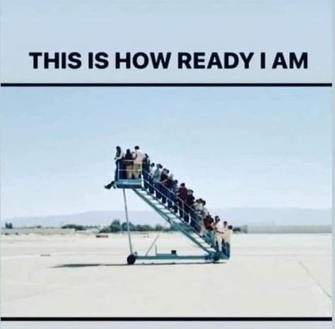 After a long hiatus of traveling, this is how ready we are to travel again!!! How ready are you to travel again??? Contact ToaD at vacations@travelonadream.com to book your next vacation! #travelonadream #ToaD #adventureawaits #gettingbacktotravel Vacation Quotes Funny, Vacation Meme, Vacation Humor, Forest Of Dean, Vacation Quotes, Work Abroad, Quality Memes, Travel Humor, Really Funny Pictures