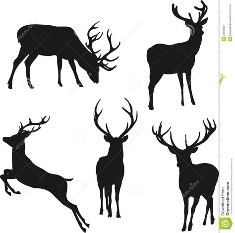 Illustration about Silhouette deer on white background. Illustration of stag, group, back - 36583067 Hirsch Silhouette, Deer Drawing, Deer Silhouette, Silhouette Painting, Silhouette Clip Art, Deer Art, Silhouette Stencil, Wood Burning Art, Animal Silhouette