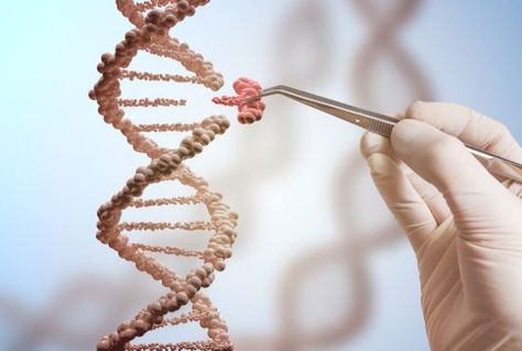 Dna E Rna, Gene Editing, Human Embryo, Dna Molecule, Genetic Diseases, Genetic Engineering, Gene Therapy, Genetic Mutation, Dna Test