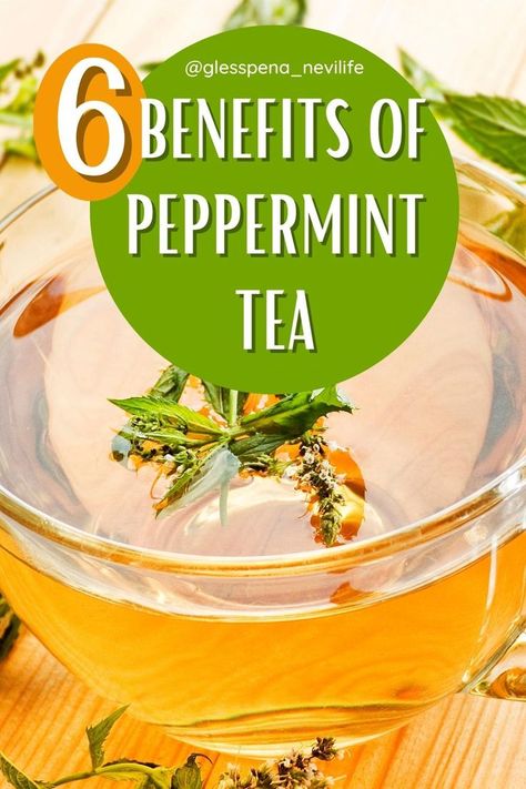 6 Benefits of Peppermint Tea. Peppermint herbal tea helps to protect herbal life style. There are more health tips. If you wonder about these herbal tea benefits lets check it together. Benefits Of Peppermint Tea, Benefits Of Peppermint, Peppermint Tea Benefits, Tea Before Bed, Herbal Tea Benefits, Spearmint Tea, Growing Healthy Hair, Pimples Remedies, Ceylon Tea