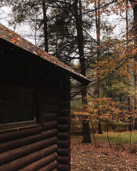 Kaetlyn Anne, Calico And Twine, Woods Aesthetic, Wooden Picnic Tables, Autumn Weekend, Autumn Magic, Season Of The Witch, Cabin In The Woods, Fall Feels