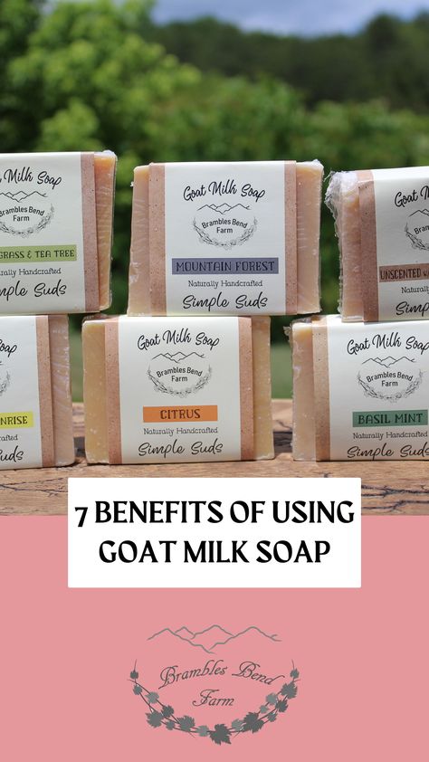 Goat milk soap benefits Goat Soap Benefits, Goat Milk Soap Labels, Goat Milk Soap Benefits, Diy Goat Milk Soap, Goat Milk Benefits, Milk Ideas, Goat Soap, Massage Routine, Soap Benefits