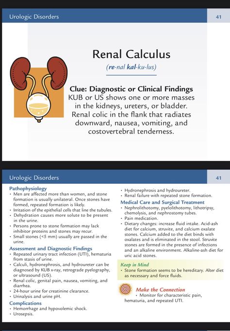 Low Oxalate Recipes, Renal Calculi, Low Oxalate, Kidney Stone, Med Surg, Skeletal Muscle, Nurse Life, Medical Care, Nursing School