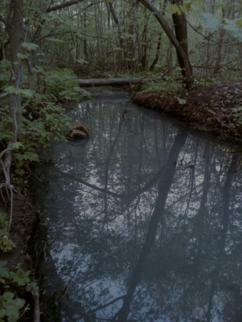 Muddy stream Murky Water Aesthetic, Muddy Aesthetic, Liam Miller, Stream Aesthetic, Movie Moodboard, Dragonfly Pond, British Folklore, Autumn Story, Scary Dark