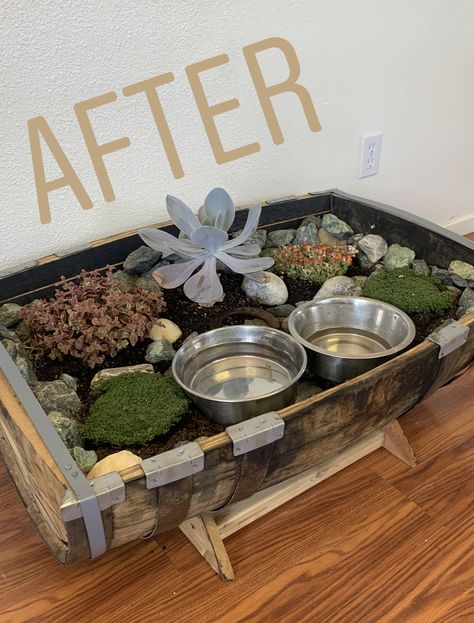 Turned my dogs water bowl into a succulent planter! They water while they drink! Dog Food And Water Bowl Station, Dog Bowl Succulent Planter, Outside Water Bowls For Dogs, Cat Water Bowl Planter, Planter Dog Water Bowl, Dog Water And Food Station, Dog Plant Water Bowl, Cat Water Station, Diy Dog Water Bowl Planter