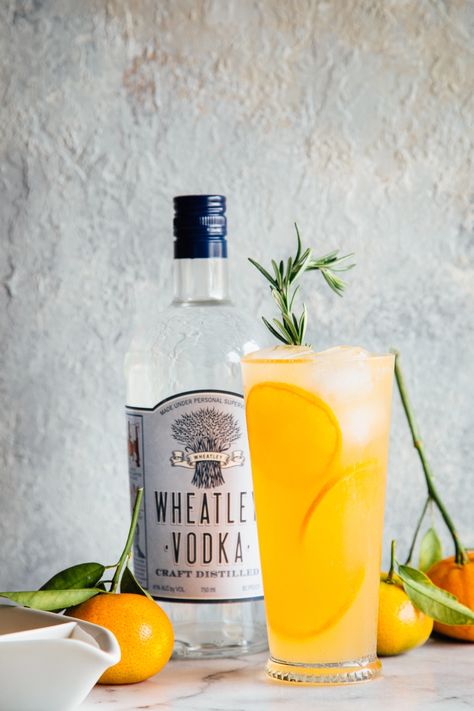 Vodka Citrus Sparkler Recipe | Kitchen Konfidence Blood Orange Marmalade, Winter Cocktail, Citrus Cocktails, Cocktail Shots, Seasonal Drinks, Orange Marmalade, Rum Drinks, Winter Cocktails, Cocktail Recipes Easy