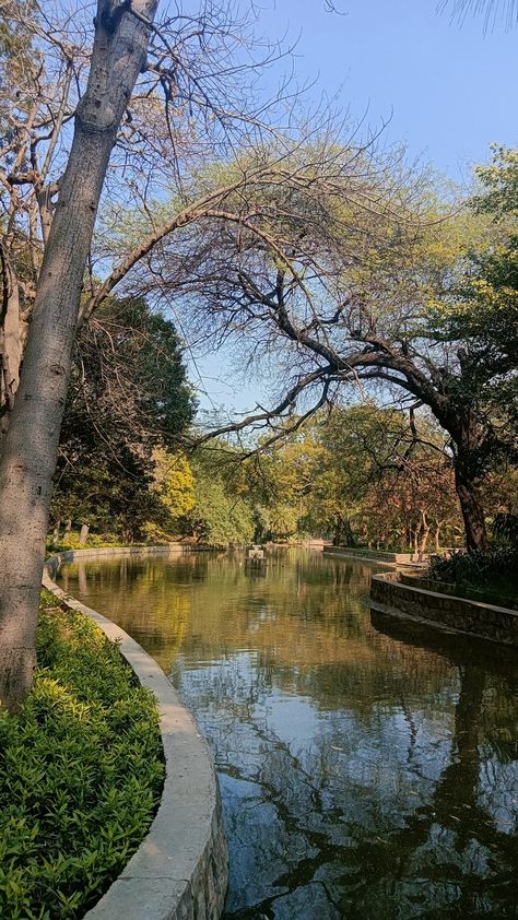 Lodhi Gardens, Delhi. Lodhi Gardens Delhi, Lodi Gardens New Delhi, Lodhi Garden Photography, Lodhi Garden Aesthetic, Saree Pics Poses Selfie, Delhi Snaps, Lodi Garden, Lodhi Garden, Desi Pinterest