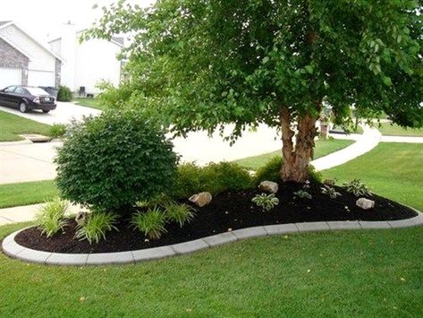 Front Landscape, Front Lawn Landscaping, Add Curb Appeal, Landscaping Around Trees, Front Yards Curb Appeal, Landscape Curbing, Front Yard Landscaping Diy, Small Front Yard Landscaping, Front Yard Garden Design