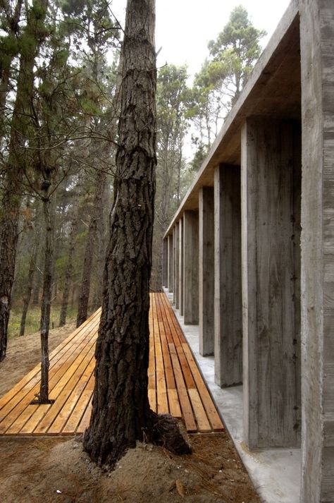 Concrete House / BAK Architects Treehouse Interior Design, Treehouse Interior, Alpine Architecture, Modern Concrete House, Concrete Houses, Built In Furniture, Concrete House, Minimalist Architecture, Eco House