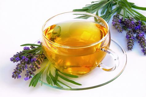 Lavender Rose Sleep Tea – Suzy Cohen suggests ways to heal naturally without medication Lavender Tea Benefits, Lavender Benefits, Sleep Tea, Tea Health Benefits, Lavender Tea, Soap Making Supplies, Lavender Green, Tea Benefits, Improve Digestion