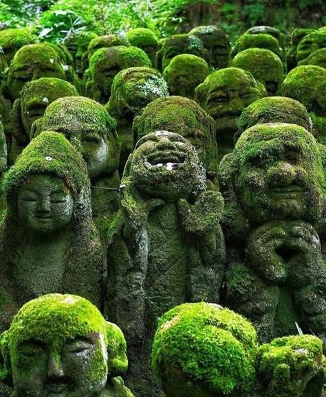 History Defined on Twitter: "1,200 stone sculptures with different facial expressions at the nenbutsu-Ju Buddhist temple in Kyoto, Japan… " Different Facial Expressions, Ancient Library, Stone Sculptures, Shinto Shrine, Moss Covered, Image Cover, Mystery Of History, History Pictures, Japan Photo