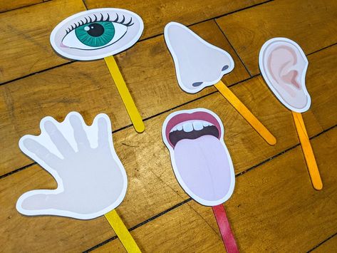 Five Senses Puppets Craft Stick Printable Puppets Kids - Etsy Australia 5 Senses Theme For Toddlers, 5 Senses Games For Kids, 5 Senses Activity For Preschoolers, Preschool Five Senses Activities, Five Senses Preschool Crafts, My Senses Activities Preschool, Five Senses Crafts For Preschool, 5 Senses Crafts Preschool, My Five Senses Activities