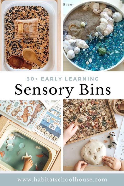 Montessori Bins, Edible Sensory Bins, Habitat Schoolhouse, Ocean Sensory Bin, Edible Sensory, Ocean Sensory, Toddler Sensory Bins, Tactile Sensory, Preschool Sensory