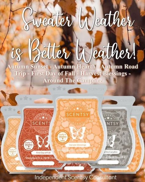 Autumn Sunset, Autumn Hearth, Autumn Road Trip, First Day of Fall, Harvest Blessings, Around the Campfire Scentsy Organization, Scentsy Bundles, Scentsy 2022, Wax Ideas, Scentsy Posts, Scentsy Pictures, Scentsy Facebook Party, Scentsy Facebook, Scentsy Oils