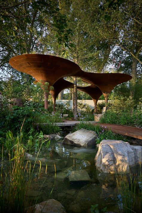 Studio Weave and Tom Massey design garden with rain-harvesting pavilion Reflection Pond Architecture, Reflecting Pool Architecture, Tom Massey, Feilden Fowles, Water Pavilion, Rain Harvesting, Living Architecture, Studio Weave, Pavilion Architecture