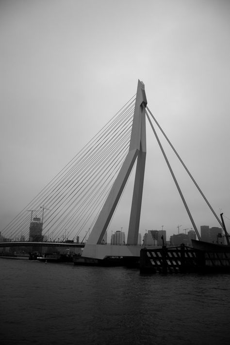 A black and white photo of the Erasmus bridge in Rotterdam. Black and white street photography Rotterdam Photo Ideas, Moses Bridge Netherlands, Rotterdam Photography, One Day In Rotterdam, Linkedin Background, Erasmus University Rotterdam, City Photography, Rotterdam, Black And White Photography