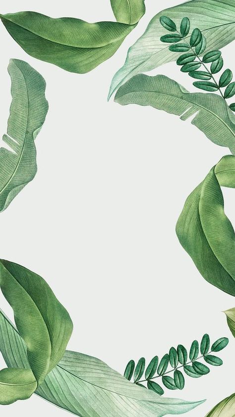 Tropical Background Illustration, Tropical Background Aesthetic, Tropical Leaf Illustration, Nature Book Cover Design, Blue Mobile Wallpaper, Green Gradient Wallpaper, Aesthetic Frames, Background Watercolour, Tropical Leaves Illustration