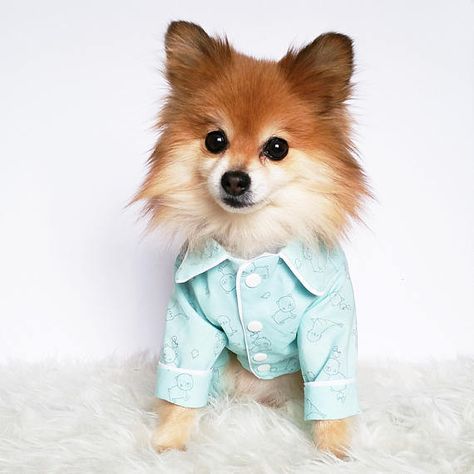 Dog pajamas puppy shirts puppy pjs shirt dog onesie dogs Pjs Shirt, Dog Onesie, Puppies In Pajamas, Puppy Bed, Bed Dog, Puppy Beds, Dog Top, Small Dog Clothes, Dog Ideas